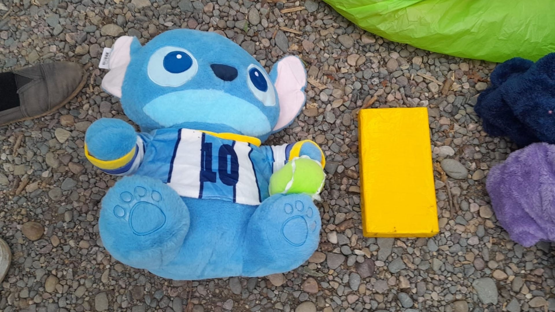 El peluche, utilizado para ocultar un kilo de cocaína, fue incautado en Salta como parte de un operativo de Gendarmería. (argentina.gob.ar)