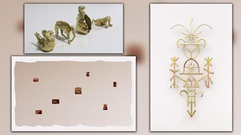 Amplio dominio de las instalaciones