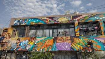 Colectivos iniciaron acciones para que