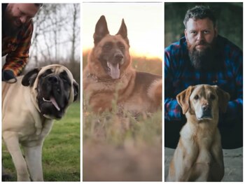 Un entrenador profesional de perros escoge sus tres razas favoritas. (Imagen: YouTube)