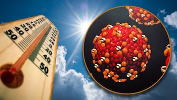 ¿Tiene algún efecto el calor