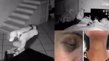 Caso Paula: mujer exhibió videos de las golpizas de su exesposo en Morelos, ahora él busca evitar ser detenido