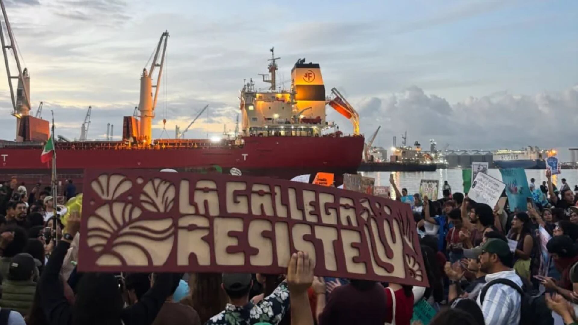 Arrecife de Veracruz en riesgo: acusan que Marina inicia ampliación del puerto pese a freno de la Corte por daños al medio ambiente