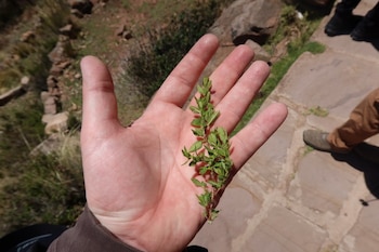 Sam Smith agradece a Perú