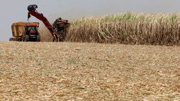 Fiebre cripto: una financiera tucumana