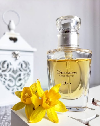 Se puede encontrar esta fragancia