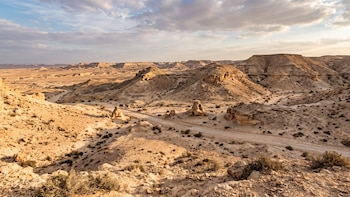 Investigadores descubren un cementerio de tiburones en un desierto de Egipto: siete especies que convivían hace 100 millones de años