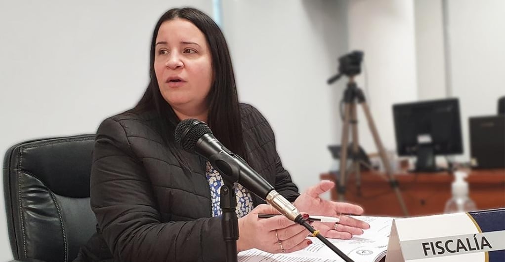La fiscal Lucrecia Sola pidió 1 año y 6 meses de prisión efectiva para la mujer (Ministerio Público Fiscal)