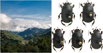 Reserva Forestal Protectora Regional de