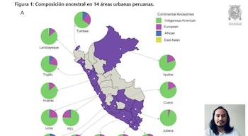 Gráfico del Perú con composición ancestral urbana en 14 ciudades, mostrando herencia indígena, europea, africana y asiática, junto al Dr. Víctor Borda