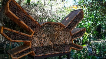 La Sedema instaló estructuras en