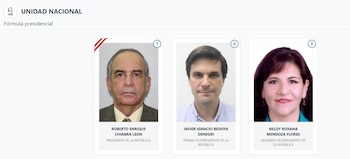 Lista de vicepresidentes en Perú 2026: estos son los acompañantes de cada candidato: Captura: ONPE.