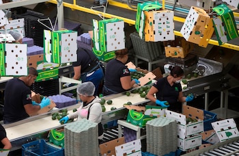 EFE/Luis Enrique Granados/Archivo