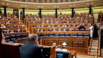 Ni PSOE, ni PP, Vox, PNV o Junts apoyan en el Congreso pedir al Gobierno a aprobar de forma inmediata la Ley de Familia
