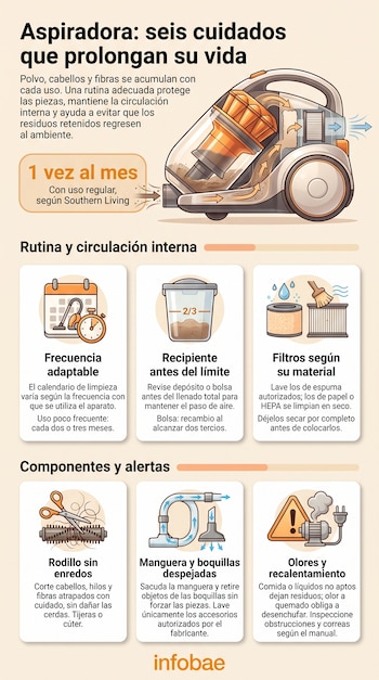 Infografía sobre aspiradoras con un esquema técnico del aparato, seis ilustraciones de sus partes, textos explicativos y el logotipo de Infobae.