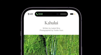 La Isla Dinámica es una