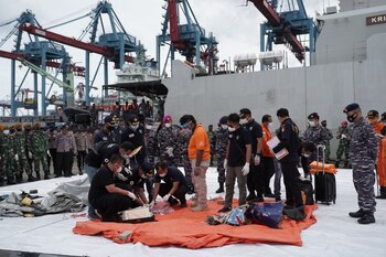 Search and rescue team members