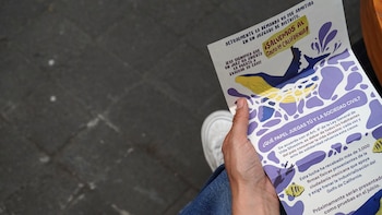 Primer plano de una mano sosteniendo un folleto blanco con ilustraciones de una ballena y peces, y texto en español sobre la protección del Golfo de California