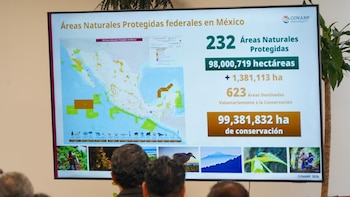 Fijan meta para proteger el 30% de territorio en México hasta 2030. (Foto: Semarnat)