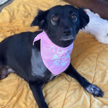 Su personalidad cautivó a todos