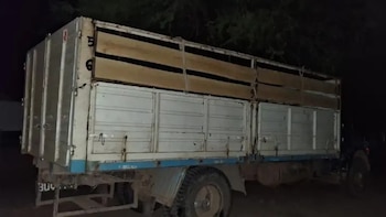Chaco: intentó evitar que se le escape el ganado del camión, pero su hijo perdió el control, lo atropelló y murió