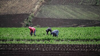 Agencia Nacional de Tierras reportó