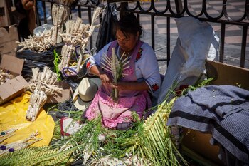 En tonro al Domingo de