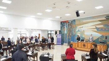 En Tigre aprobaron una proyecto