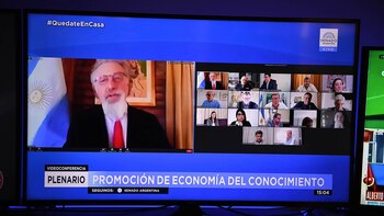 Reunion remota de la Plenaria