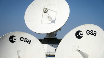 Elche acogerá un congreso de