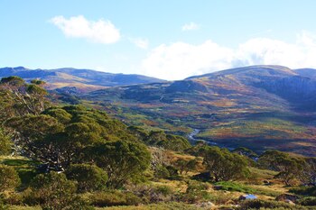 Vistas del Parque Nacional Kosciuszko