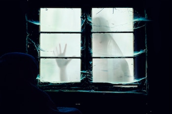 Una historia de terror que borra la realidad.