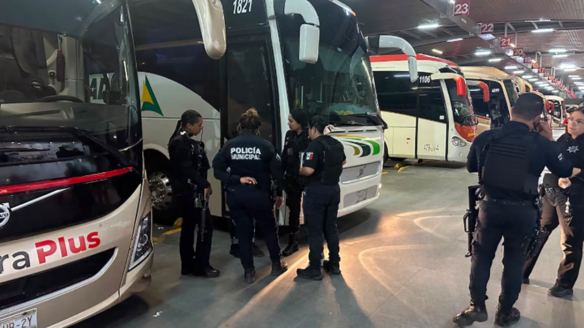 Jalisco: una menor fue usada para reclutar adolescentes por TikTok y el caso destapó una red criminal