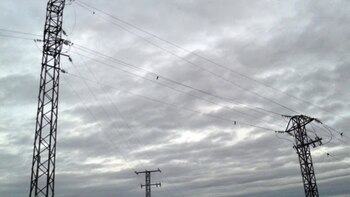 ONG piden al Gobierno aprobar