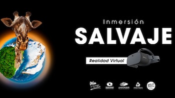 Descubre los secretos de los