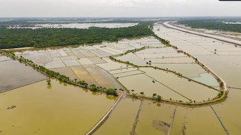 Los Sundarbans están ubicados en