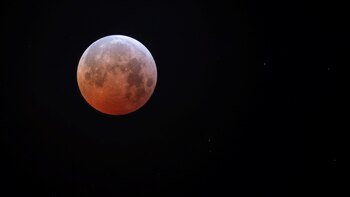 Las 32 mejores fotos del