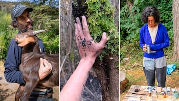 Mariano y Rocío son artistas