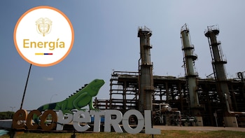 Ministerio de Minas abrió investigación