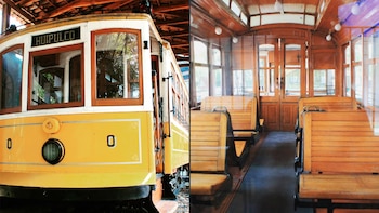 El museo permite a sus