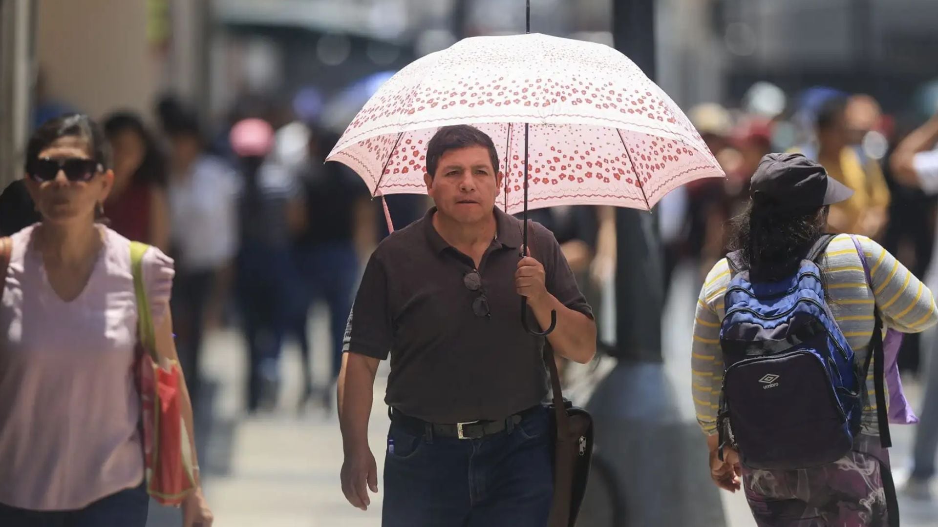 Se aconseja permanecer en espacios ventilados, frescos y secos, evitar la exposición al sol entre las 10 y las 17 horas y buscar siempre zonas de sombra al aire libre, como parte de las medidas para reducir el impacto del calor extremo sobre la salud humana y animal
