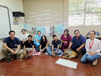 El plan, impulsado por Medicina Veterinaria con respaldo de la Unidad de Psicología del Departamento de Desarrollo Rural, incorpora espacios de pausa y convivencia con caninos para apoyar el bienestar emocional en exámenes (Foto cortesía Facultad de Ciencias Agronómicas)