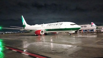 Fauna hallada en el AIFA