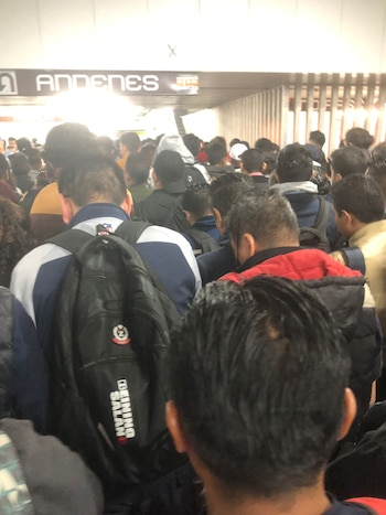 (Foto: Especial/Línea 9)