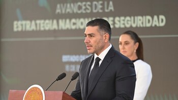 Harfuch niega expansión del Tren