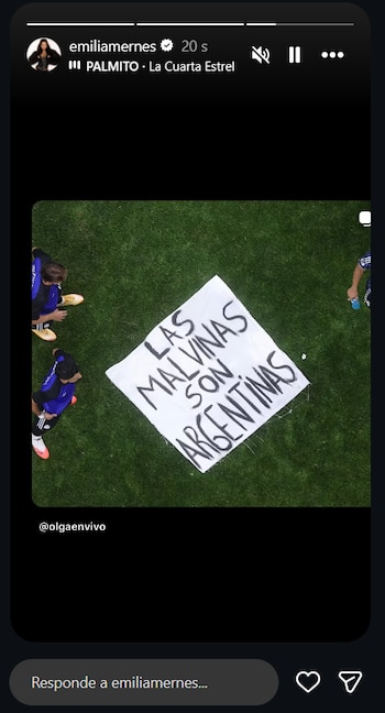 Emilia Mernes reposteó la imagen de la bandera de los jugadores de la selección