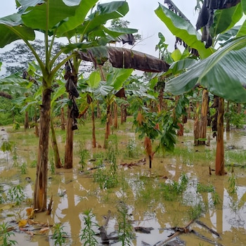 Las fuertes lluvias en la