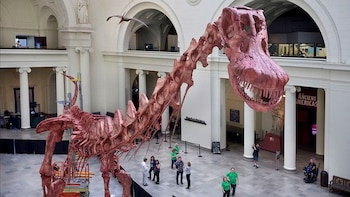 “Patagotitan Mayorum”, hallado en Trelew