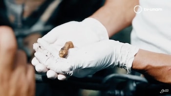 Encontrar a sus desaparecidos, sea