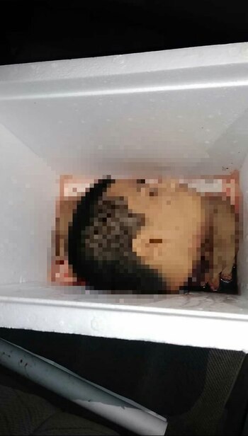 Una cabeza humana y dos